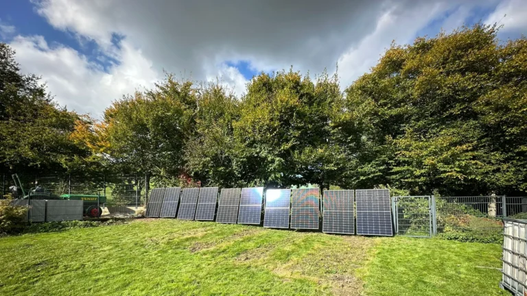 Photovoltaikanlage auf einer grünen Wiese mit Bäumen im Hintergrund